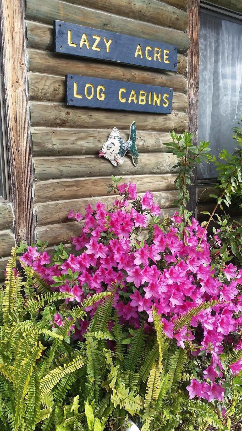 ليكس إنترانس Lazy Acre Log Cabins المظهر الخارجي الصورة